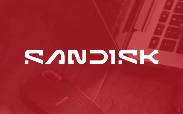 Examining SanDisk's Volatile Stock Performance: A Historical Perspective