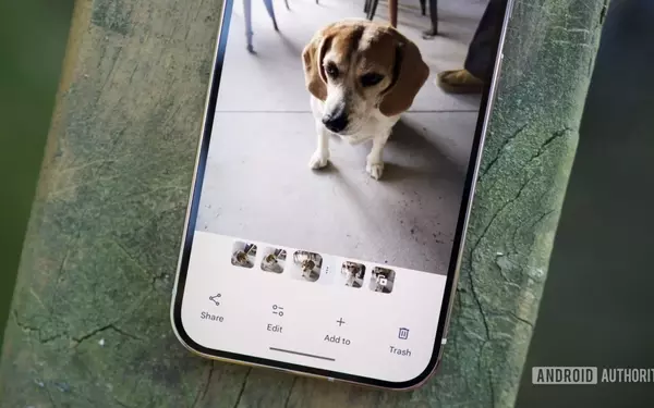 Google Photos Users Demand Enhanced Cleanup Features