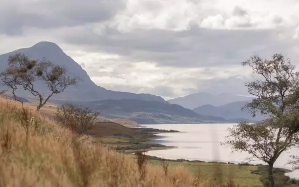 Hope Lodge: A Rewilding Retreat in the Scottish Highlands