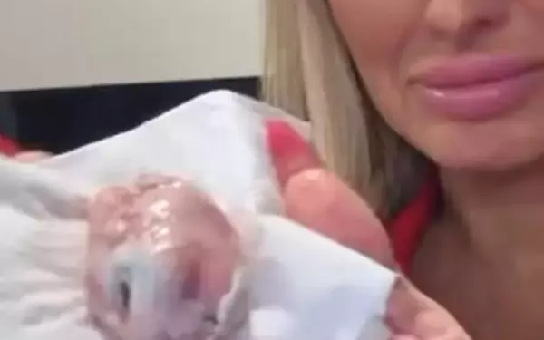 Reality Star Discovers Disturbing Item in Supermarket Purchase, Chain Responds