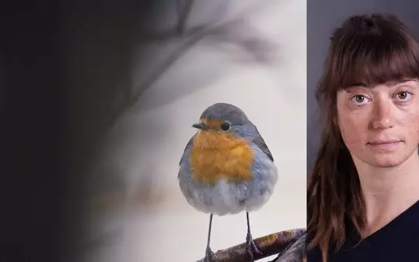 A Documentary on Nature's Resilience in the Face of Industry