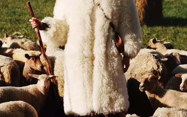 Unraveling the Ethical Threads of Wool in Fashion: A Documentary Insight