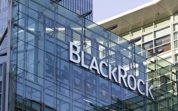 BlackRock's High-Dividend Fund Outperforms Vanguard's VYM with Higher Yield and Lower Fees