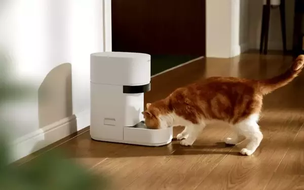 Petlibro's New AI-Powered Feeder Revolutionizes Multi-Cat Homes