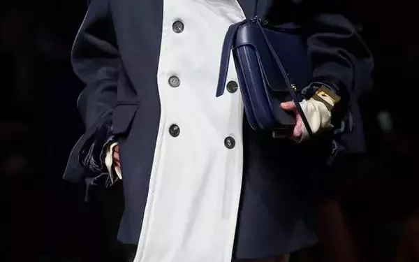 The Ferragamo Cara Bag: A Must-Have Accessory for Celebrities and Beyond