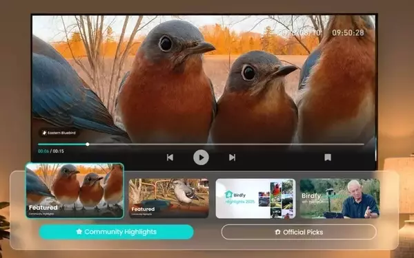 Birdfy App Revolutionizes Backyard Birdwatching on Roku