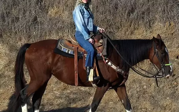 Heather Locklear and Lorenzo Lamas's Horseback Romance Amid Divorce Finalization