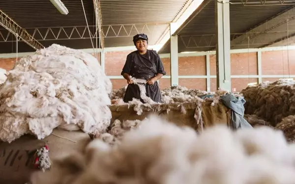 New EU Directive to Combat Greenwashing in Fashion Industry