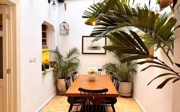 Discover Your Perfect Mexico City Airbnb: A Guide to the Best Stays