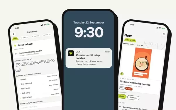 Laytr: A Versatile and Privacy-Focused App for Saving Online Content