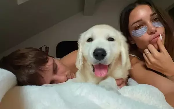 Cruz Beckham and Girlfriend Jackie Apostel Welcome New Canine Companion Amidst Family Discord