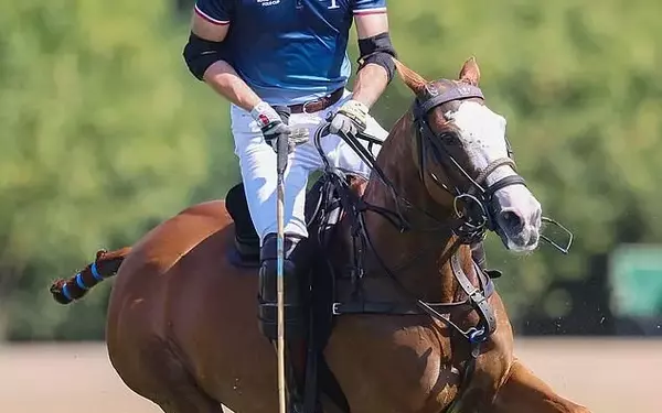 Royal Polo Tradition Under Scrutiny: Prince William's Diminished Role and Courtier Concerns