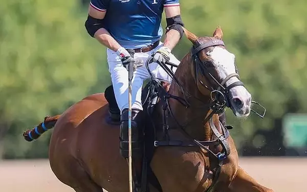 Royal Polo Controversy and Celebrity Lifestyle Updates
