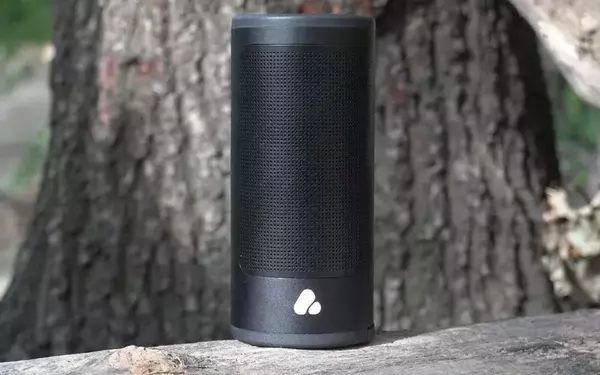 Poca Audio Pine Beat Speaker Review: Robust Design Meets Acceptable Sound