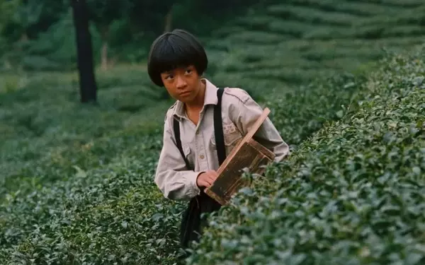 Radiance Films to Release Eight Restored Taiwanese Classics in the U.S. and U.K.