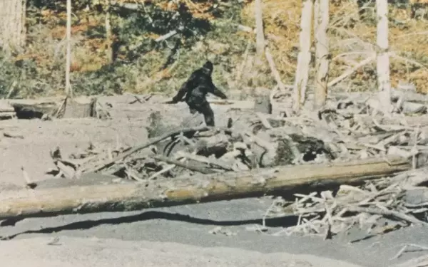 Unveiling the Truth: A Deep Dive into the Bigfoot Phenomenon