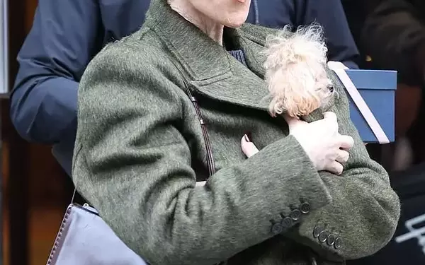 Celine Dion Concludes Paris Residency with 29 Suitcases and a Poodle