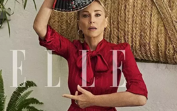 Sharon Stone's Post-Stroke Career & Financial Challenges
