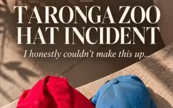 Influencer Criticized for Entering Zoo Enclosure to Retrieve Children's Hats